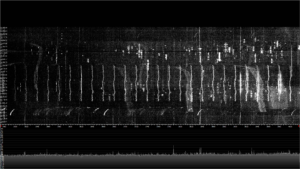 Twenty Four hours of RFI on 80 Meters